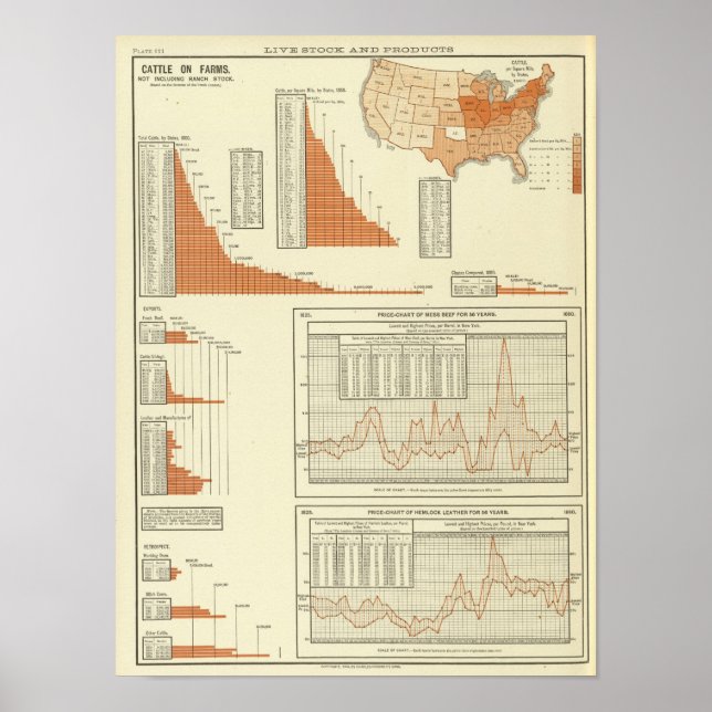 Póster Bovinos (Frente)