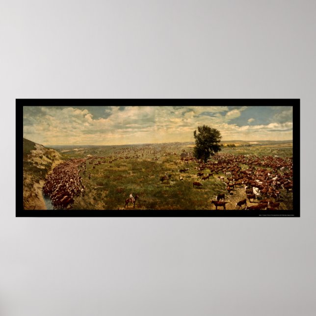 Poster Bovinos 1912 (Frente)