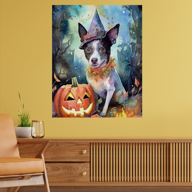 Poster Bovinos Australianos De Halloween Com Abóboras Ass (Sala de Estar 2)