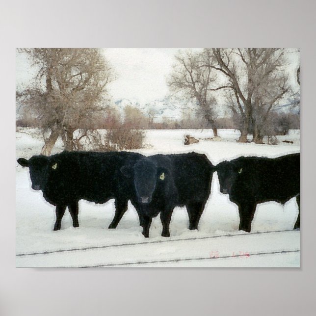 Póster Bovinos negros na neve (Frente)