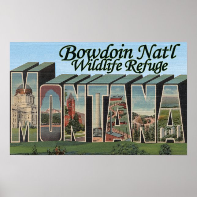 Poster Bowdoin Nat'l Wildlife Refge, Montana (Frente)