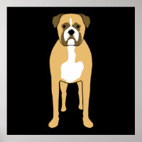 Boxer Dog.