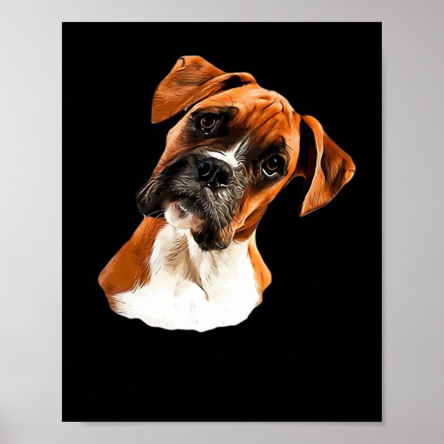 Poster Boxer Uma bela inclinação de cabeça de boxeador Ca (Frente)