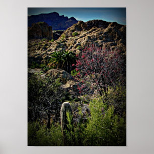 Poster Boyce Thompson Arboredum