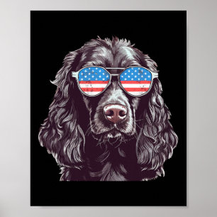 Poster Boykin Spaniel EUA Bandeira Americana Cachorro Ócu