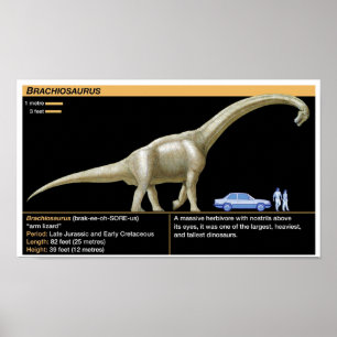 Poster Brachiosaurus - Biologia Jurássica