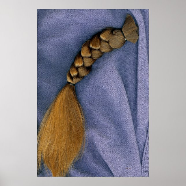 Póster Braid (Frente)