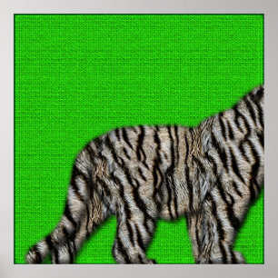 Póster Branca Bengala Tigre: Furry Bottom em Verde