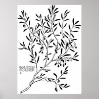 Branch de Oliveiras Simplificado em Decor