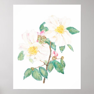 Poster branco camellia flores aquarela