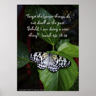 Poster branco da borboleta
