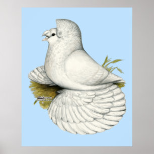 Póster Branco do pombo da trompetista