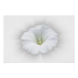 Póster branco e tons de cinza