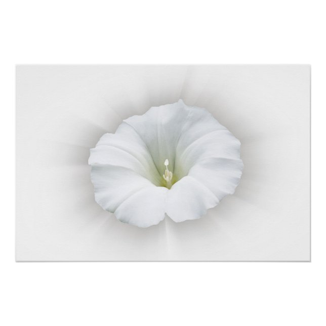 Póster branco e tons de cinza (Frente)