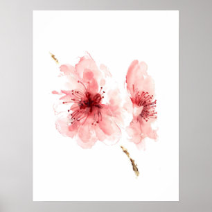 Poster branco sakura da flor de cerejeira