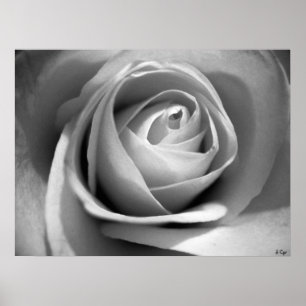 Poster Branco Suave, S Cyr