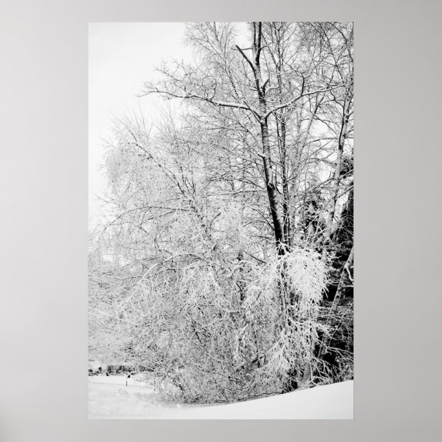 Póster Brancos de inverno (Frente)