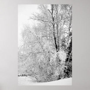Póster Brancos do inverno