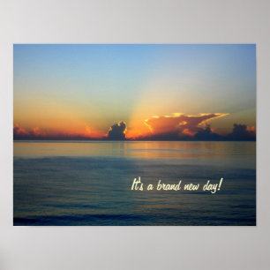 Poster brandnew do dia