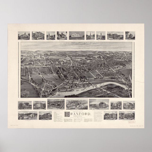 Póster Branford, CT Birds, 1905 Ver Mapa Panorâmico (Frente)