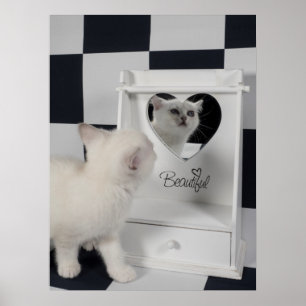 Poster Branquea gato antes do espelho