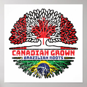Poster Brasil: Canadá, Canadá, Bandeira de Raízes de Árvo