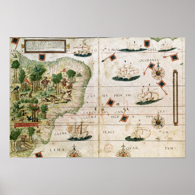 Póster Brasil do 'Atlas Miller' de Pedro Reinel (Frente)