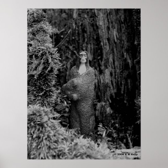 POSTER BRAVE (Frente)