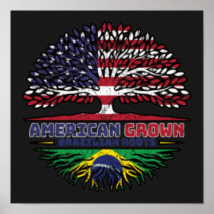 Poster Brazilian Brazil US American USA United States