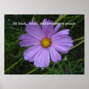 Póster Breathe in Peace