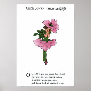 Poster Briar-Rosa