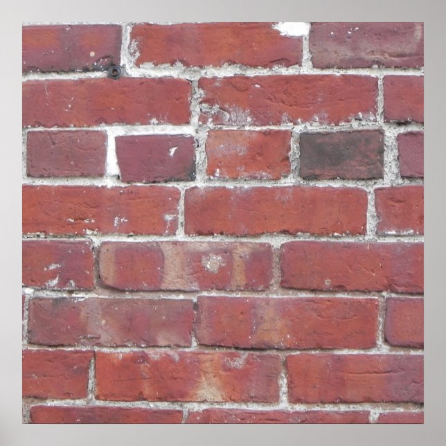 POSTER BRICK WALL... (Frente)