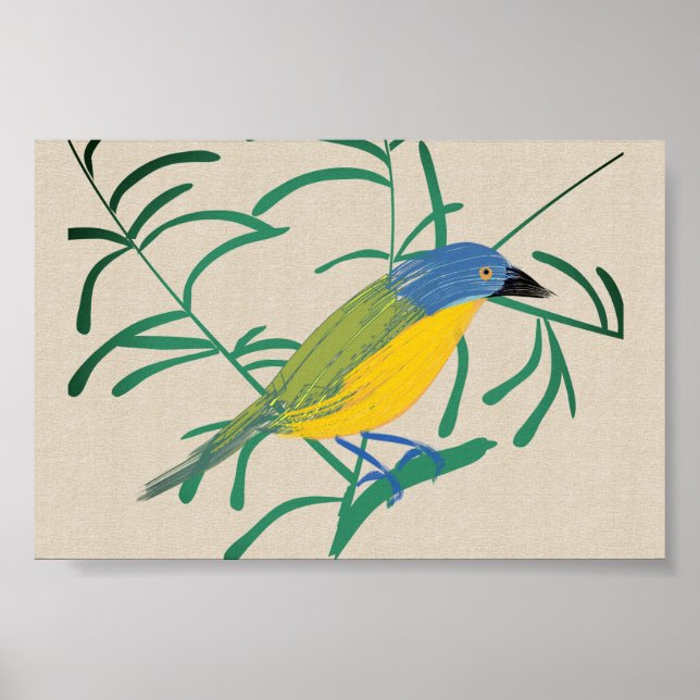Poster Bright African Bird Bush Shrike em Linen Canvas (Frente)
