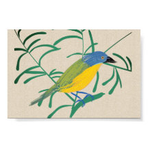 Bright African Bird Bush Shrike em Linen Canvas