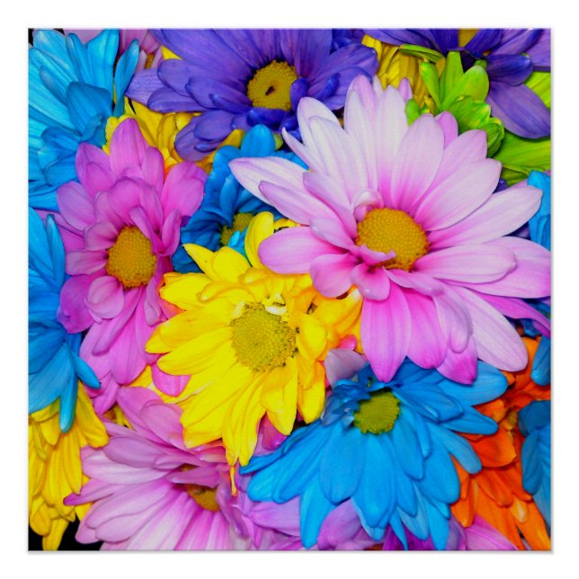 Póster Bright Daisy Flower Mix Perfect Poster (Frente)