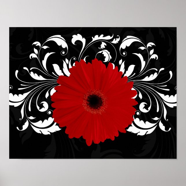 Póster Bright Red Gerbera Daisy em Preto (Frente)