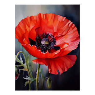 Póster Bright Red Poppy com Centro Escuro