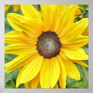 Poster Bright Sunflower Close Watercolor Style Art