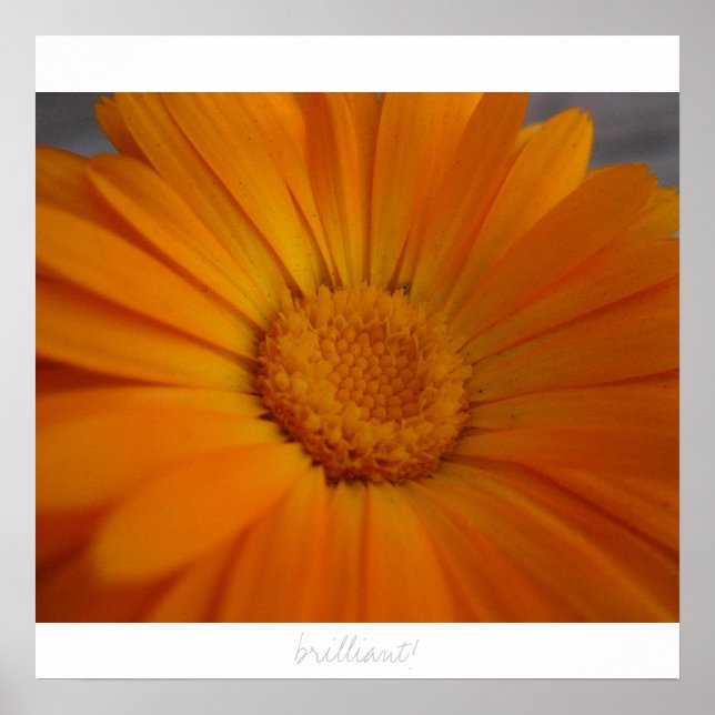 Poster brilhante! (Frente)