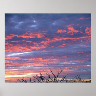 Poster Brilhante rosa havaiano e Lavanda Céu sunset
