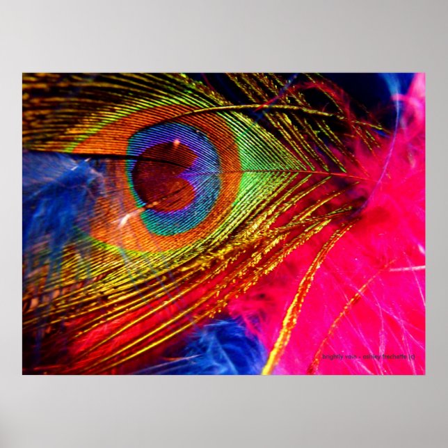 Póster Brilhante Vain (Frente)