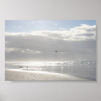 Póster Brilho do sol