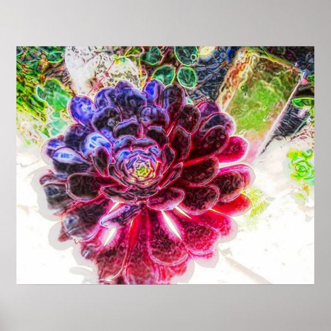 Poster Brilho elétrico (Frente)