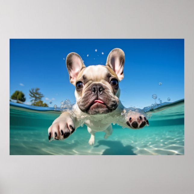 Poster Brincadeira de Cachorro-Pet (Frente)