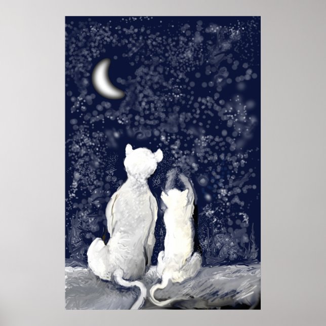 Poster Brincando com Estrelas (Frente)