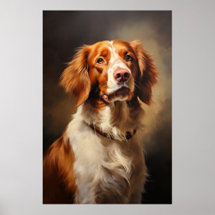 Poster Brittany Spaniel