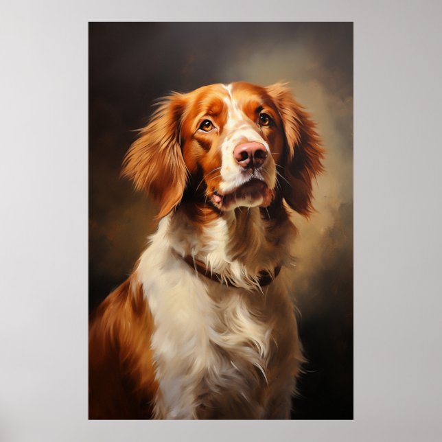 Poster Brittany Spaniel (Frente)