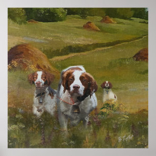 Poster Brittany Spaniel