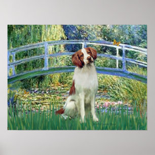 Póster Brittany Spaniel 3 - Ponte Lily Pond