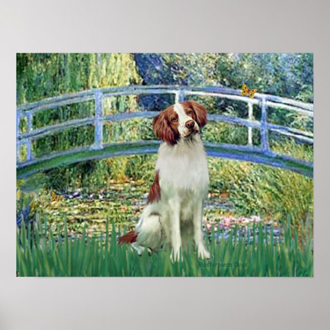 Póster Brittany Spaniel 3 - Ponte Lily Pond (Frente)